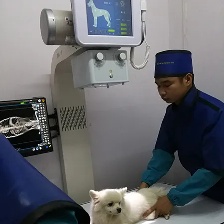 Système de radiographie vétérinaire